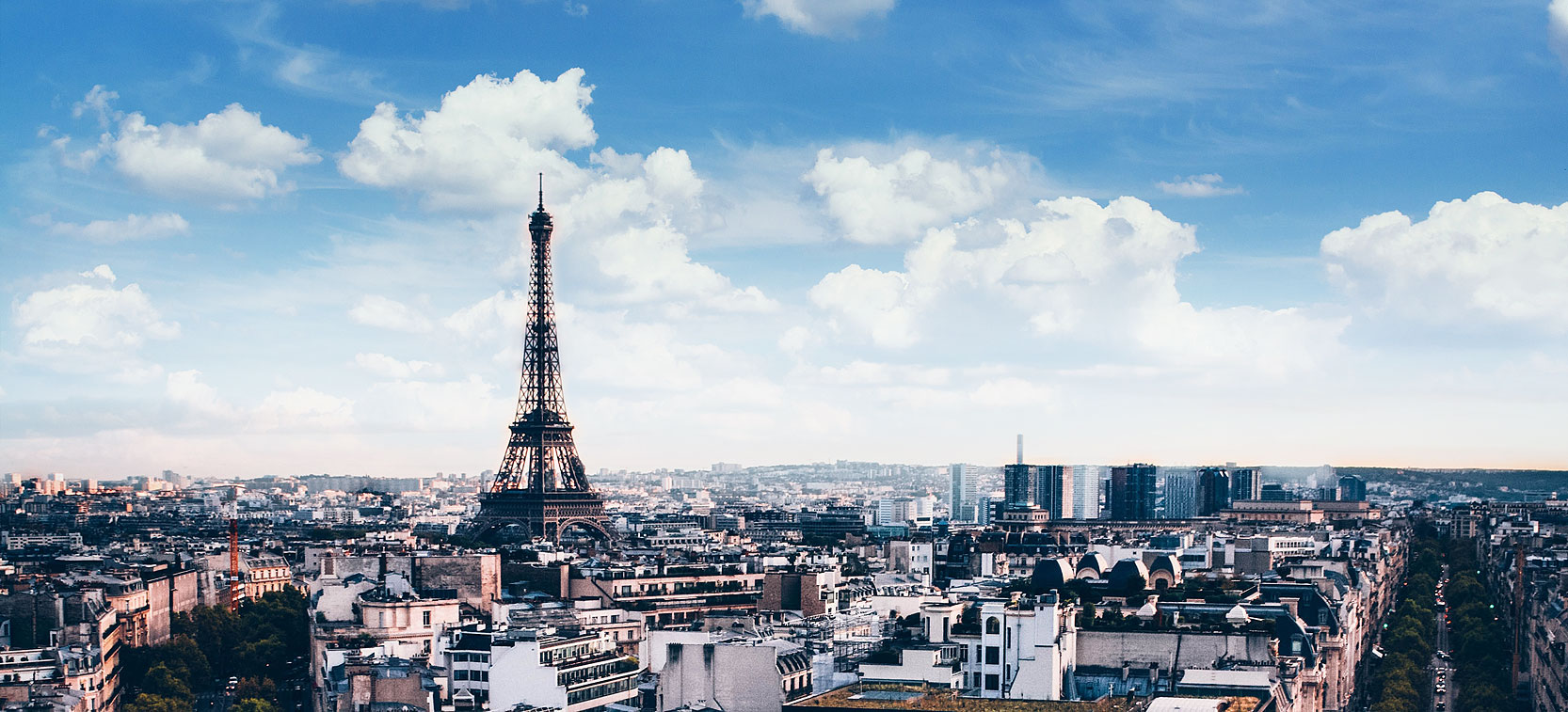 LAVISHY exhibit at leading trade shows in Paris, New York ...