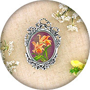 LAVISHY Cara collection wholesale handmade brooches/pins with vintage style prints to gift shop, clothing & fashion accessories boutique, book store, souvenir shops in Canada, USA & worldwide.