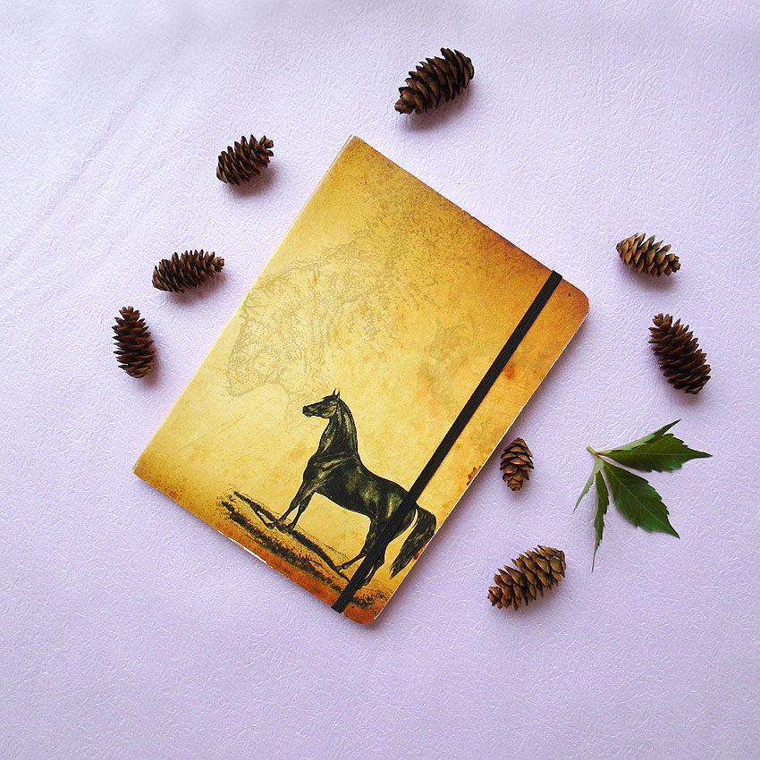 LAVISHY design & wholesale original, beautiful and affordable journals to gift shops, clothing & fashion accessories boutiques, book stores and speciality retailers in Canada, USA and worldwide.